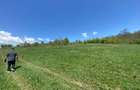 Teren 14,61 ha de vanzare Halmeag, Brasov