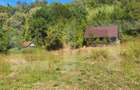 Teren de vanzare, 4847 mp, cabana, zona Nadrag - 11