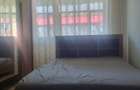 Inchiriez apartament 2 camere, mobilat, centrala proprie, priveliste Parang - 8