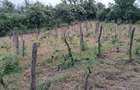 Casă cu Teren 2500 Mp în Gura Văii - 1