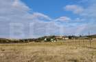 Teren intravilan, 800 mp, Simnicul de Sus - 1