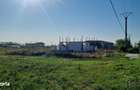 Vanzre Teren construibil 400mp 1 Decembrie Ilfov - 5