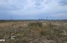 Teren industrial intravilan vis a vis de Auchan Sud Timisoara - 3