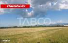 Teren extravilan 16500 mp front 47 m acces auto zona aerodrom Cisnadie - 2