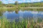 Teren de vanzare, 1600 mp, iesire la lacul Surduc