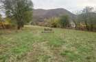 Teren intravilan 2500mp Criscior