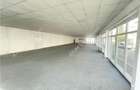 Spatiu comercial de 300 mp cu vitrina loc parcare zona centrala Sibiu - 8