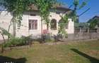 Casa individuala, 100 mp, teren 5000 mp, zona Mogosani - 9
