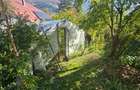 Teren 650 m² ultracentral Nehoiu – perfect pentru casa - 6