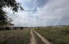 Parcela 702 mp, dubla deschidere, Carcea - Metro - 3