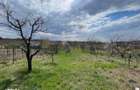 Casa mica cu livada de vanzare in Saldabagiu de Munte Oras la 10 min - 2