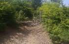 Teren extravilan, padure, 20.000mp2, Posesti Prahova - 5