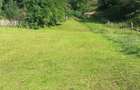 vind teren in com Rucar jud Arges - 4