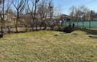 Casa in Brehuiesti, garaj si anexe 1.800mp teren si iaz - 6