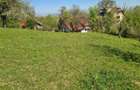 Teren deosebit - 1500 mp, Poiana Angelescu, Str. Livezii