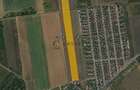 Teren intravilan in -Paleu 9.707 mp | Potential excelent de investitie - 2