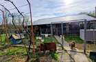 Casa P+M cu 1500 mp teren intravilan in Valea Mare - 9