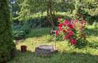 Valea Moldovei, casa P+1+pod, anexa, gradina 500 mp - 2