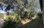Casa plan parter 74 mp utili , 1500 mp teren,zona Lucian Bl - 3