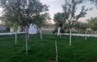 Vanzare casa iohanisfeld!! - 4