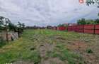 Casa individuala de vanzare cu 5 camere si teren de 2543 mp - Izvin - 4