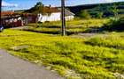 TEREN DE VANZARE 1471 m Betfia/Sanmartin /Oradea - 3