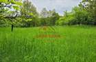 Teren intravilan in Scorteni--3999mp--55.000e - 7