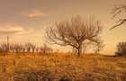 Teren intravilan 6707 mp | Cetariu -Oradea | 7 mp | Panoramic