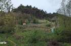 Teren intravilan de vanzare, 700 mp, acces asfaltat - 2