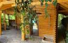 Domeniu exclusivist 17.000 mp | Vila luxury cu piscina & SPA Carbu - 4