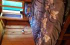 Vand 2 cabane lemn in Vadu Negrilesei - 4