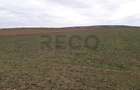 RECO Teren in Santandrei 29 100mp - 3