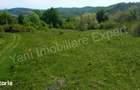 Teren 19.452 mp de vanzare in Curtea de Arge?. - 5