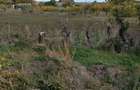 Teren intravilan, 1100 mp.