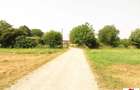 Casa cu teren 4,3 hectare in Livada ( ID 22148) - 5