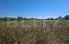 Teren de vanzare, 3000 mp, zona Dumbrava - 3