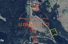 Teren de vanzare in Belis 6.449m2, 19 m2 - 2