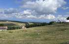 Vand teren intravilan 1550 mp pe Semenic la 1400 m altitudine - 8