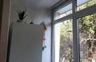 Apartament 2 camere renovat