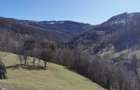De vânzare teren intravilan 10,100 mp, cu anexă, Munteni