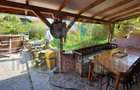 Curtuiusu Mare, casa 4 camere, suprafata utila 105 mp, teren 2431 mp - 18