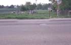 Vand teren 1000 mp in Dorohoi