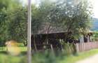 Teren intravilan de vanzare | 1952 m2 | Maramures | Viseu de Sus | Cartier: Tipterai - 4