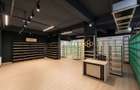 Spatiu Comercial pentru Clinica, Retail sau Birouri | 493 mp - 3