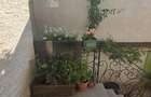 Apartament Bazilescu - 2