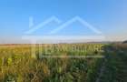 Teren intravilan, 1476 mp, Zona Ungheni - 3