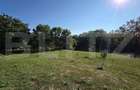 Un col? de natura in Oarda | Casa cu peste 8.000 mp teren ?i livada - 3