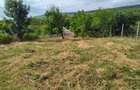 Casă cu 3 camere cu Teren 1200 Mp în Goruni - 1