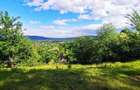 Teren panoramic | Breaza de Sus | 8655 mp | Potential dezvoltare turis - 7