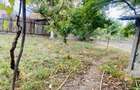 Casa cu teren mare 1230 mp in Nadlac, Arad 3 camere, gaz, front 40 m - 6